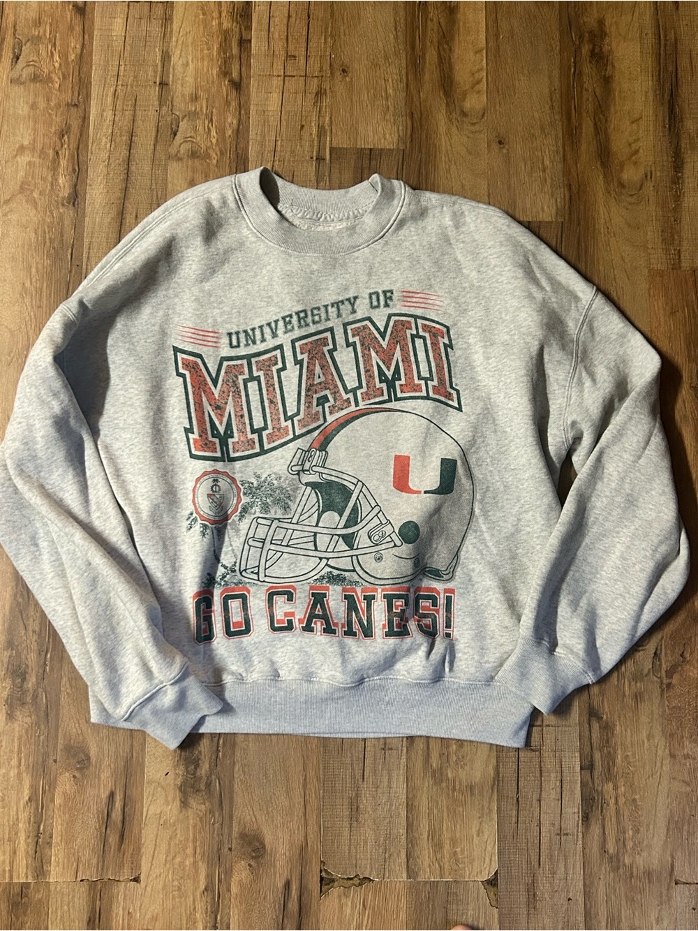 Hollister Blue 84 University of Miami Hurricanes Sweatshirt Woman’s  L Boxy Grey